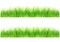 Grass Edible Image cake border 2 Strips per sheet 3.5x10.5 inchs
